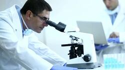 Research team in laboratory. Stock Footage