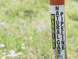 MS Sign of marker for Warning Natural Gas Pipeline with grass / Beaverton, Oregon, United States  Stock Footage