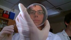 Catching A Coral Killer Instructional Video