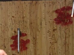 Competition: throw the bench axe. Hunting / combat training. Stock Footage