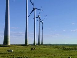 Wind Energy Stock Footage