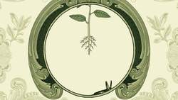 TED-Ed: Making sense of how life fits together - Bobbi Seleski Instructional Video