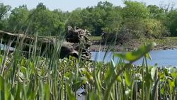 Marshes And Sea Level Rise Instructional Video