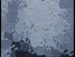 Saatchi gallery relocates to County Hall News Clip