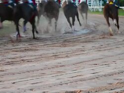 HD:Horse racing pace. Stock Footage
