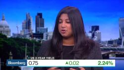 Ramakrishnan: Decent Case for Fed to Hike This Year News Clip