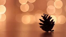 Pine cone on a New year background. Stock Footage