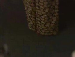 Tennessee Thomas at A Glimpse Inside the Mind of Charles Swan III - Arrivals Stock Footage