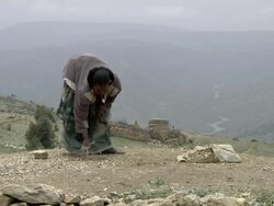 Afar woman raking leaves Stock Footage