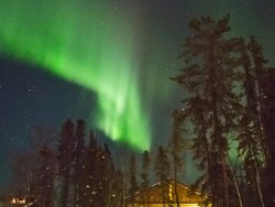 WS T/L View of Aurora and roof of log cabin with frost covering trees / Yellowknife, Northwest Territories, Canada  Stock Footage
