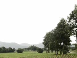 crane shot : landscape of farm.full HD Stock Footage