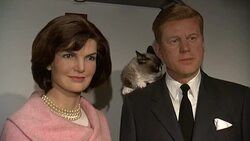 Grumpy Cat at Grumpy Cat Visits Figure at Madame Tussauds DC Stock Footage