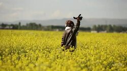 Young Boy wearing Jetpack is Taking Off Stock Footage