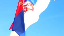 Serbian flag Stock Footage
