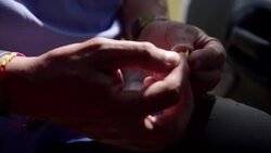 Vieques tackles overpopulation of famous horses News Clip