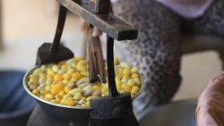 Boiling silkworm cocoon Stock Footage