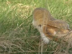 MS PAN Stacks of film cans on shelves / Berkhamsted, Hertfordshire, United Kingdom Stock Footage