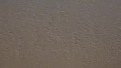 Sea wave erase fail word on sand Stock Footage