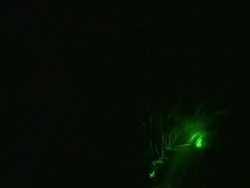 MS Colored Optic Fibers / Sao Paulo, Brazil Stock Footage