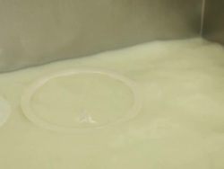 Step for making cheese Stock Footage