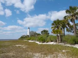 St Marks Lighthouse Stock Footage