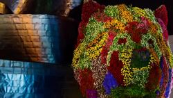 Puppy in Gugghenheim Museum Bilbao Stock Footage