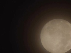 Full moon setting close-up Stock Footage