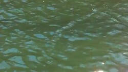 Water surface Stock Footage
