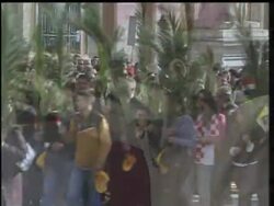 Pope Benedict Sunday dedicated this year's Palm Sunday to the young, continuing a tradition started by Pope John Paul the Second. News Clip