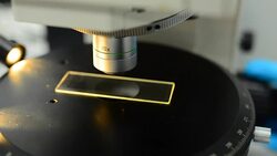 panning: adjust focus lens in a light microscopy Stock Footage