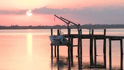 Sunrise on the Docks Stock Footage