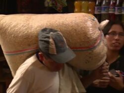 "Delivery man carries bag of corn/maize through colourful market, Chachapoyas market, Chachapoyas, Peru [PerÃƒÂº]" Stock Footage