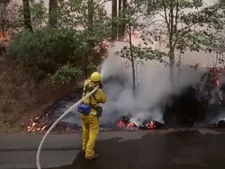Rim Fire Burns Near Yosemite National Park Stock Footage