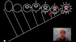 Cladograms Instructional Video
