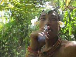 Mentawai Man smoking tobacco Stock Footage