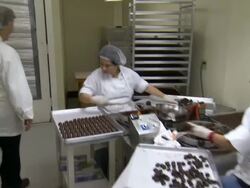 Montage of chocolate factory. Workers handling and packaging chocolates. Making batches of caramel.   Stock Footage