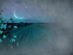 Blue Night Stock Footage