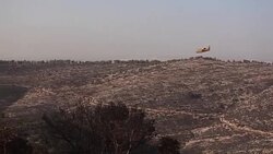 CLEAN : Foreign planes combat Israel wildfires as arrests made News Clip