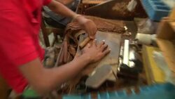 A cigar roller assembles a cigar at the Partagas cigar factory. Stock Footage