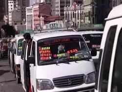 CLEAN: Zebras direct traffic in Bolivia News Clip