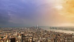 New York Stock Footage