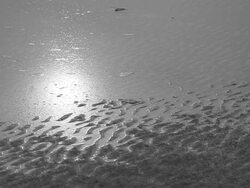 sunshine Stock Footage