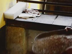 Ayurveda Stock Footage