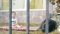 Baby and dog best friend Stock Footage