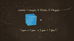 TED-Ed: What is the biggest single-celled organism? - Murry Gans Instructional Video