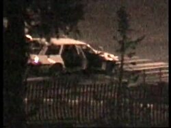 Algeria - Gunfire Follows Zeroul's Victory News Clip