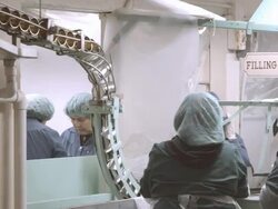 open cans rolling through conveyor chute drop into filling wheel during canning in olive processing plant using machinery from the early 1900s  / Ontario, California, USA  Stock Footage