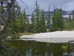 Hiking in Waterton Lakes National Park Stock Footage