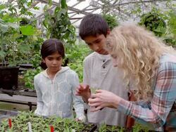MS female botanist showing young students leaves of plant in research greenhouse. Stock Footage