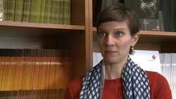 CLEAN : Firms must be alert to Congo News Clip